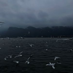 3d 无尽 女仆 喷出
